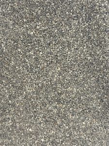 IMG_3033